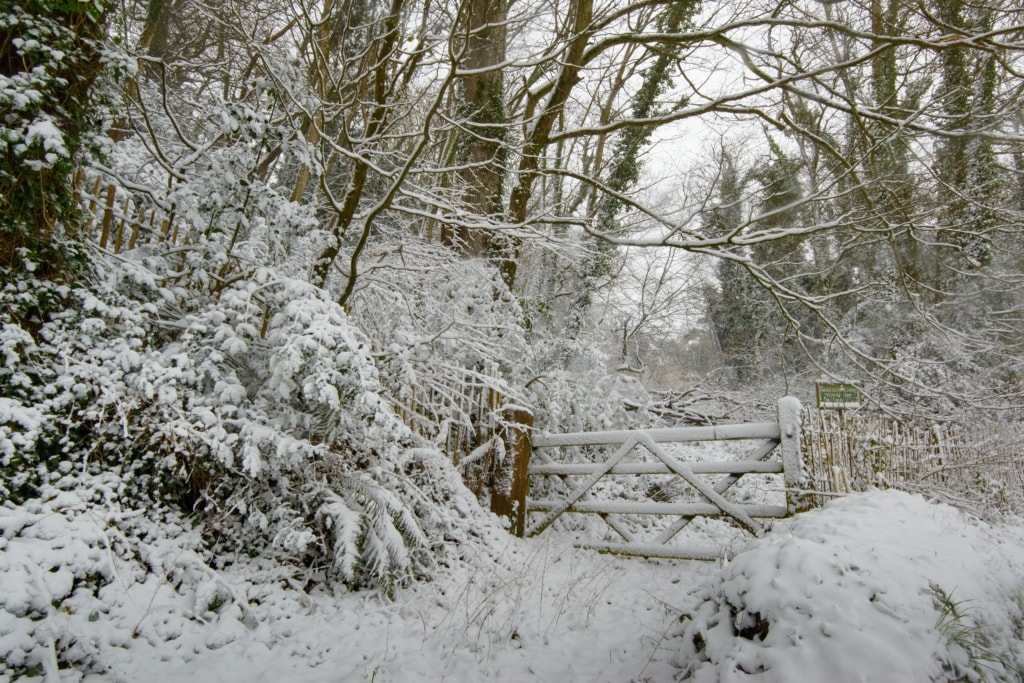 A gate and trees and branches in the snow at Waterworks Valley, St. Lawrence, Jersey, Channel Islands