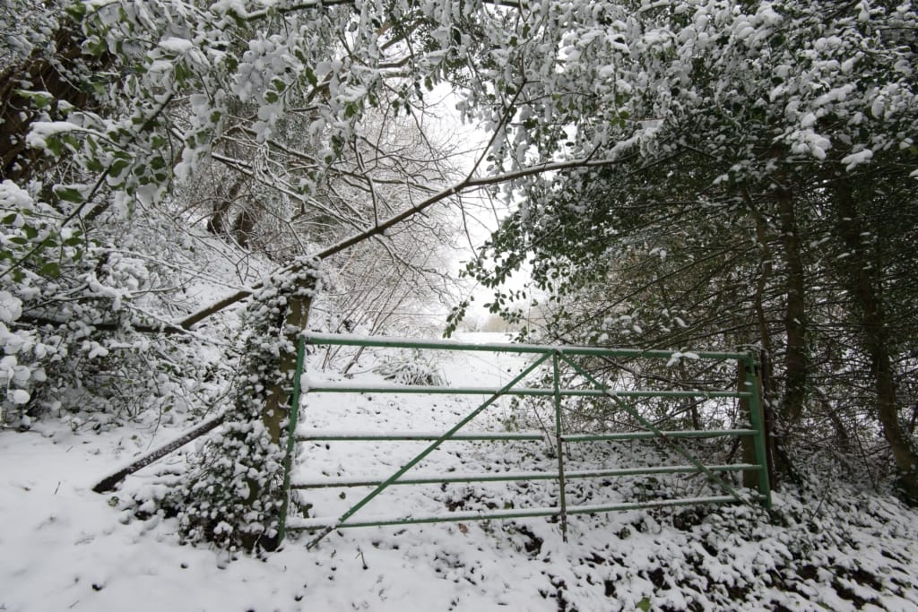 A gate and trees and branches in the snow at Waterworks Valley, St. Lawrence, Jersey, Channel Islands