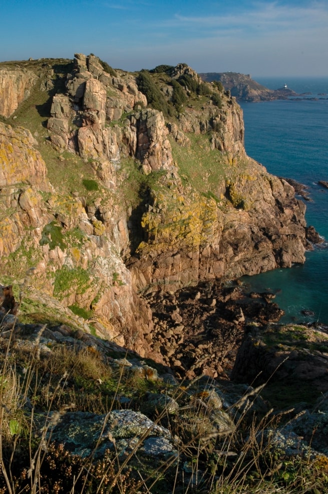 Bird nesting cliffs at Le Fret Point Nature Reserve, Portelet Common, St. Brelade, Jersey, Channel Islands