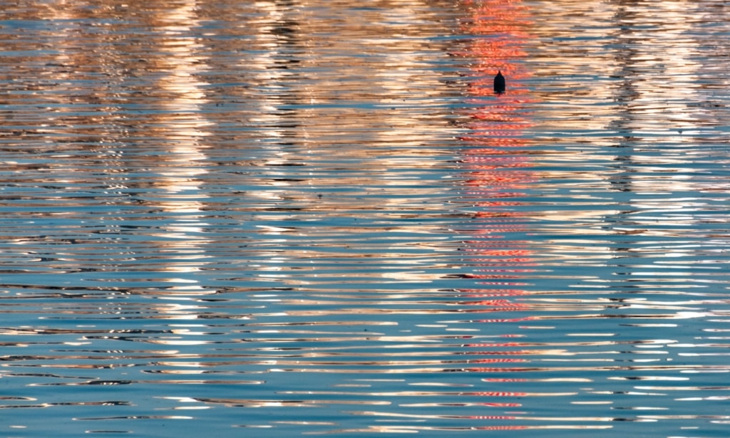 Boat mast reflections from St. Aubin's Pier, St. Aubin's Harbour, St. Aubin, St. Brelade, Jersey, Channel Islands