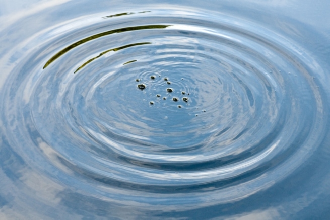 Concentric ripples at La Mazeline Reservoir, St. Catherine's Woods, St. Martin, Jersey, Channel Islands