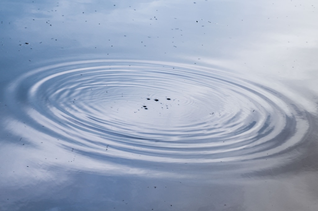 Concentric ripples at La Mazeline Reservoir, St. Catherine's Woods, St. Martin, Jersey, Channel Islands