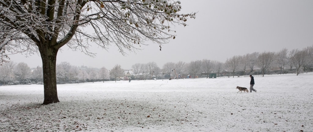 Dog walker in the snow at St. Andrew's Park, St. Helier, Jersey, Channel Islands