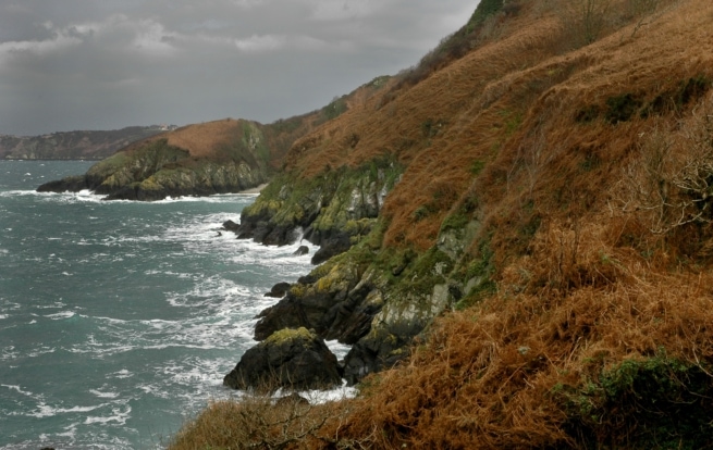 North coast cliffs viewed from the cliff path at Wolf's Lair, Egypt, Trinity, Jersey, Channel Islands