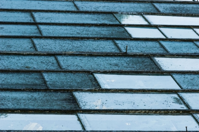 Old greenhouse roof, The Lanes, Jersey, Channel Islands