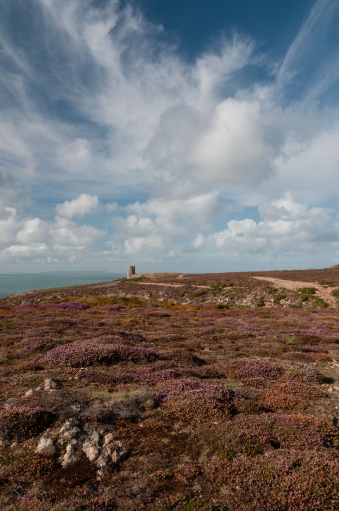 Pink heather and fantastic clouds looking towards MP3 Tower at Les Landes, St. Ouen, Jersey, Channel Islands