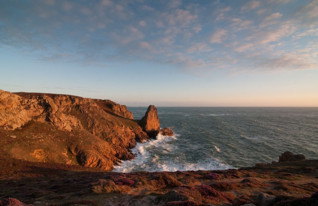 Pink heather and sunset looking towards Le Pinacle at Les Landes, St. Ouen, Jersey, Channel Islands