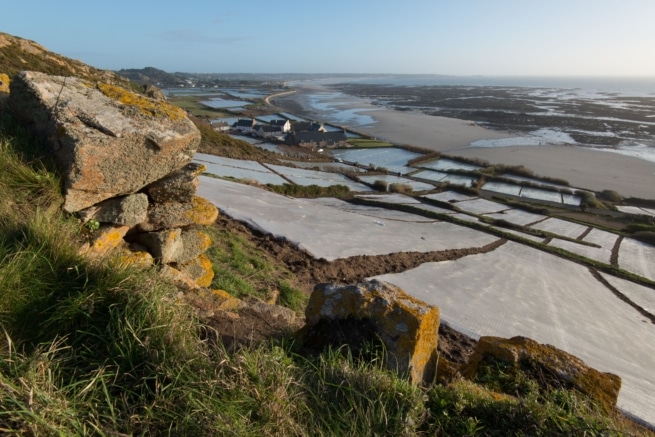 Jersey Royal New Potato planting cotils covered in polythene and facing the sun at L'Etacq, St. Ouen, Jersey, Channel Islands