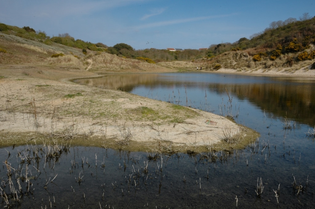 Pond in the sand dunes, Les Blanches Banques (The Sand Dunes), St. Brelade, Jersey, Channel Islands