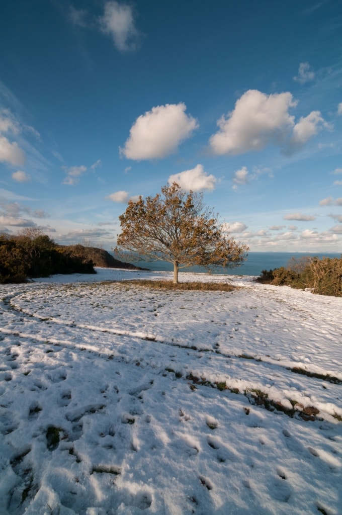 Snow scene at Jardin d'Olivet, Trinity, Jersey, Channel Islands