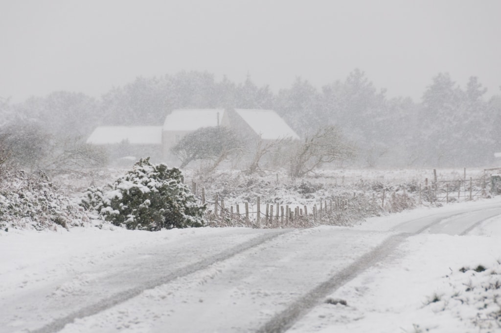 Snow scene at States Farm, Noirmont, St. Brelade, Jersey, Channel Islands