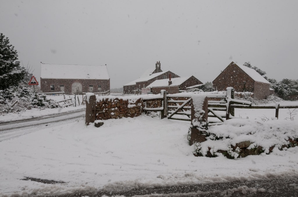 Snow scene at States Farm, Noirmont, St. Brelade, Jersey, Channel Islands